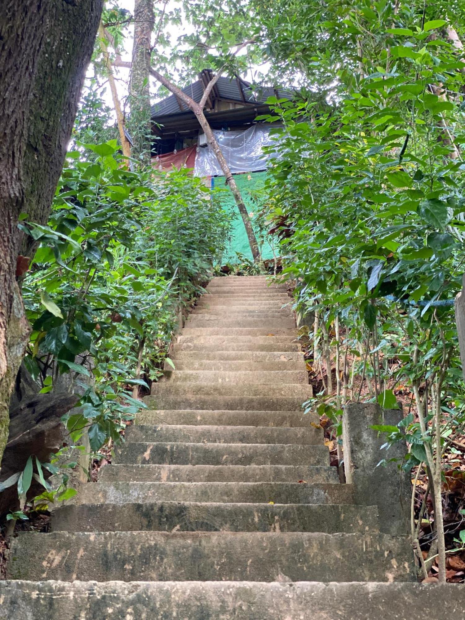 Camp Talusi Hilltop Overlooking El Nido Exteriör bild