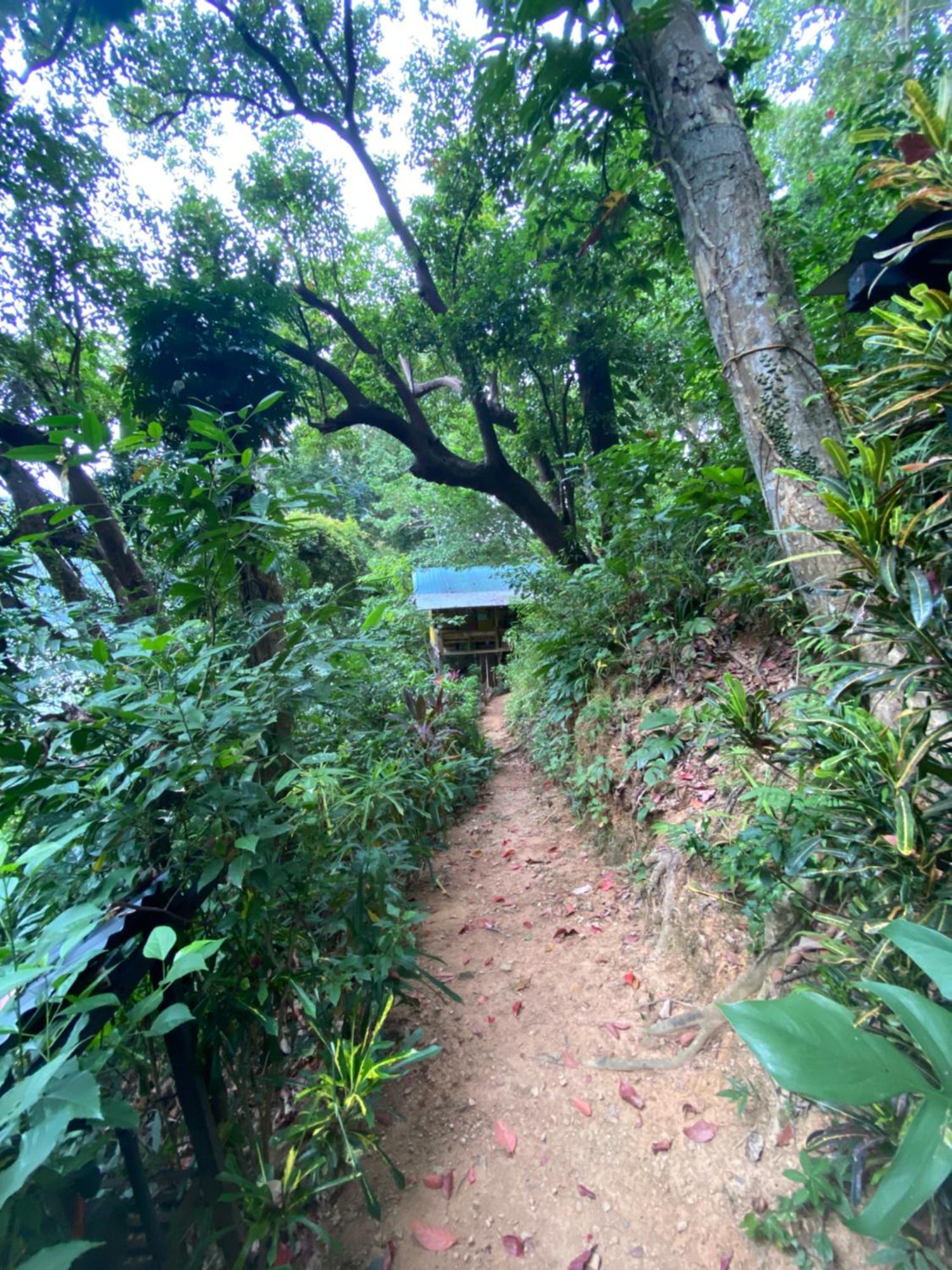 Camp Talusi Hilltop Overlooking El Nido Exteriör bild