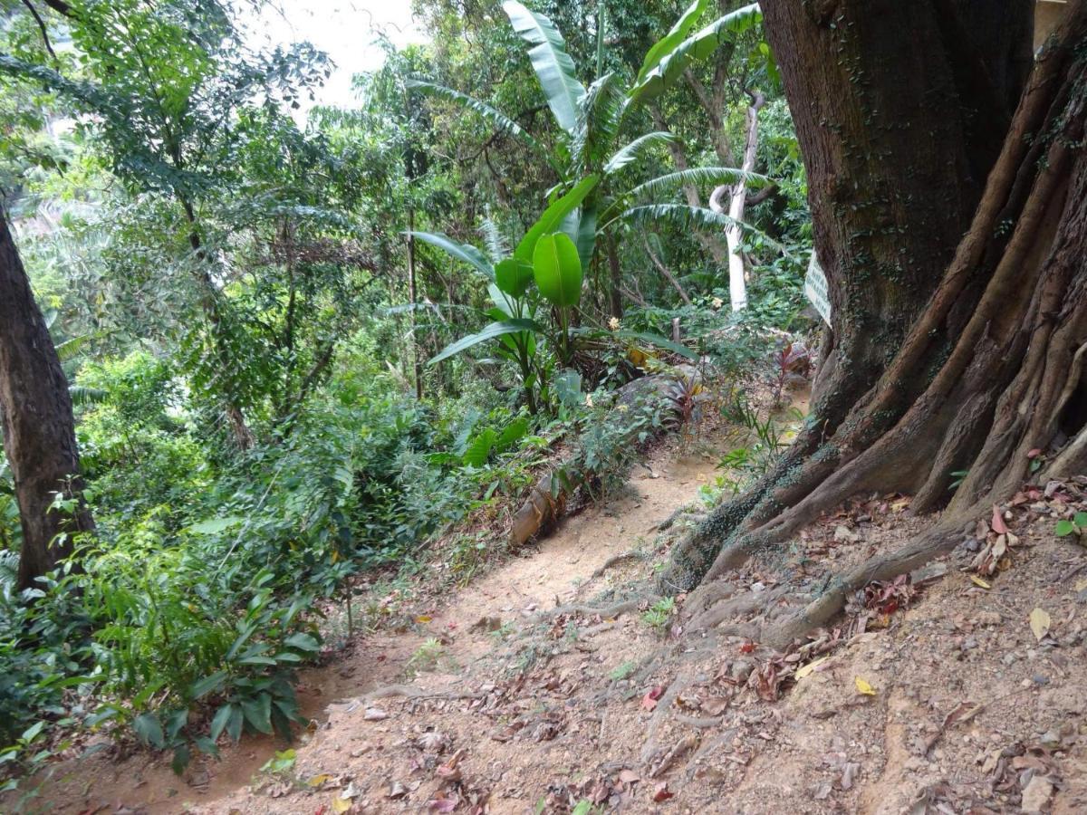 Camp Talusi Hilltop Overlooking El Nido Exteriör bild